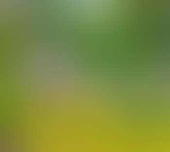 Landscape with figures (preview)