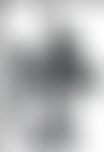 Figure (preview)
