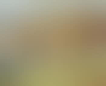 Paysage du sud (preview)