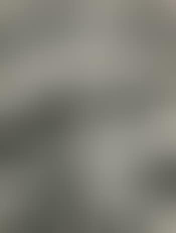 [Untitled] (preview)