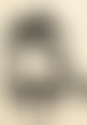 [Untitled] (preview)