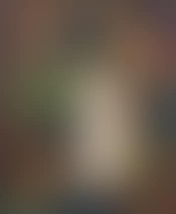Nature morte (preview)