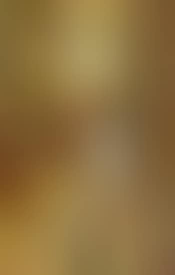 Studie zu einem Interieur (preview)