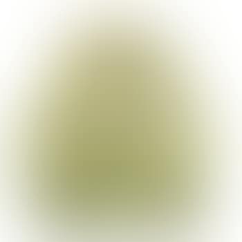 Cabbage Vase (preview)