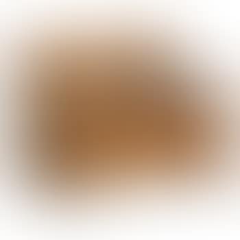 [Untitled] (preview)