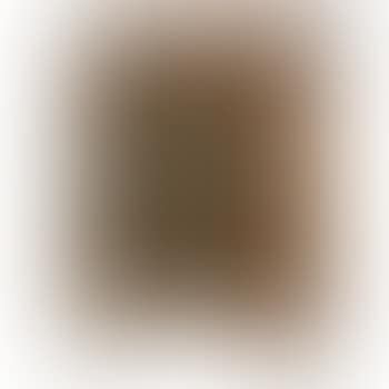 [Untitled] (preview)