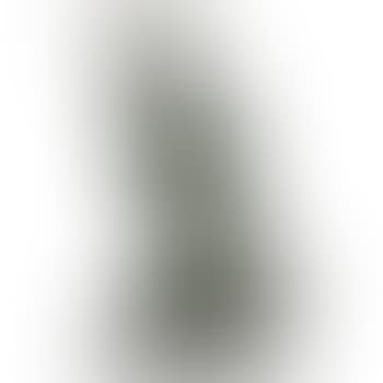[Untitled] by James Lippitt Clark  by Ernest Evan Seton Thompson (preview)