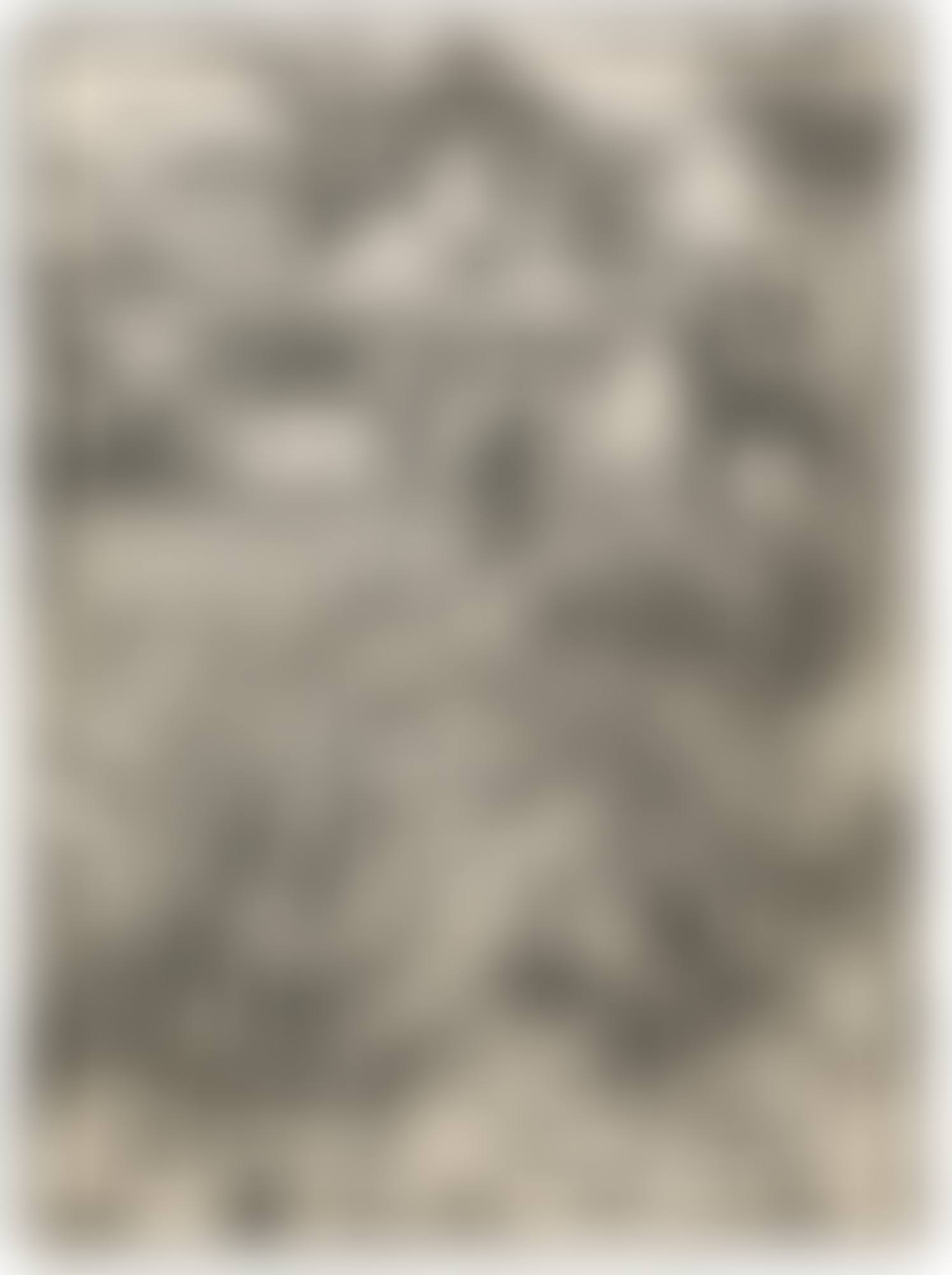 THE HOLY FAMILY WITH THREE HARES (B. 102; M., HOLL. 212) (preview)