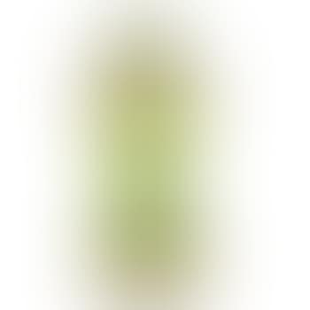 Early glass bottle (preview)
