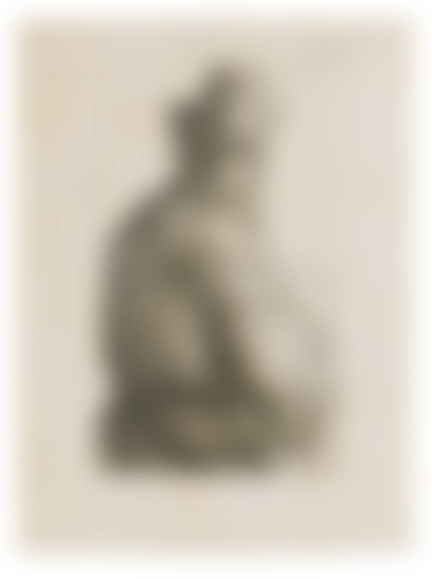 OLD MAN SEEN FROM BEHIND, PROFILE TO RIGHT: HALF-FIGURE; AND BEGGAR WOMAN LEANING ON A STICK (B., HOLL.ï¿½143, 170; NEW HOLL. 33A, 229; H. 41-C, 219) (preview)