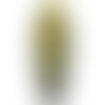 [Untitled] (preview)