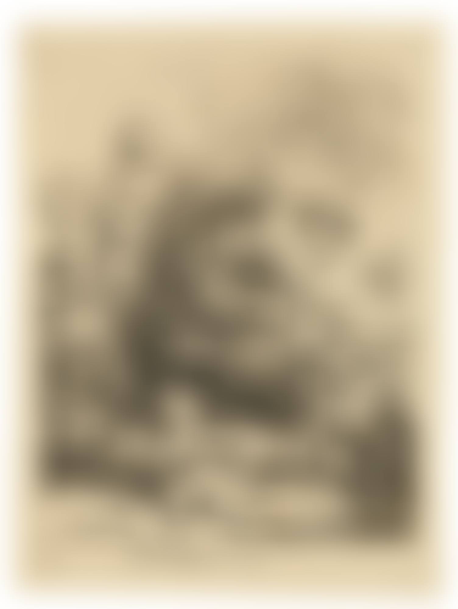 THE PANCAKE WOMAN (B., HOLL. 124; NEW HOLL. 144; H. 141) (preview)