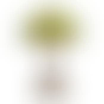 Fine Table Lamp, Pansy Shade (preview)