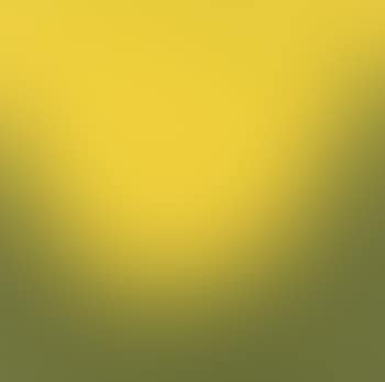 Irregular form (preview)