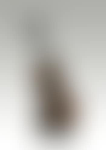 Violon coupé IV (preview)