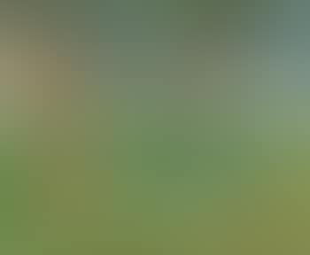 Studie voor Mijn appeloogst (preview)