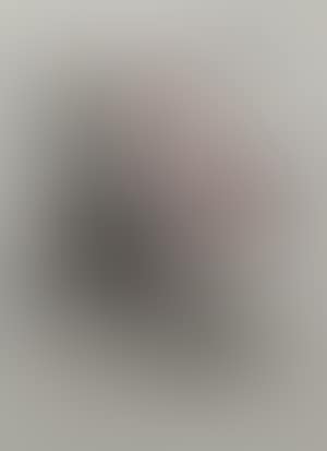 Le Torse (preview)