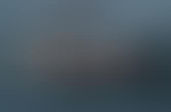 Morning fog (preview)