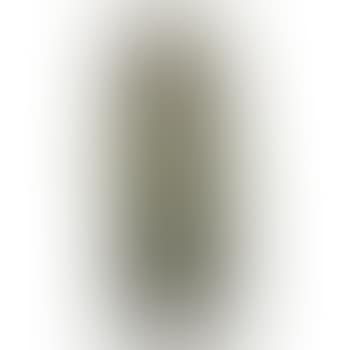 Untitled (Plant Form), Pennsylvania (preview)