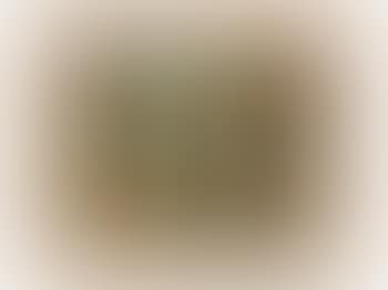 Poplar trees at a Pond (preview)