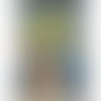 Untitled (Robe) IV (preview)