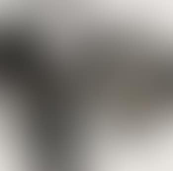 Landscape (preview)