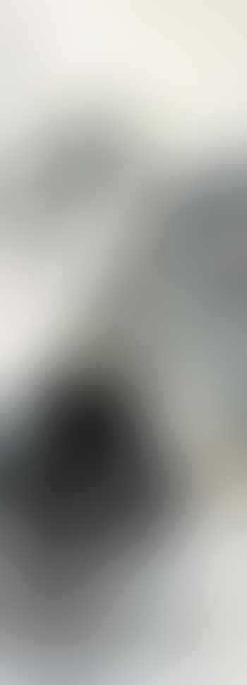 Landscape (preview)