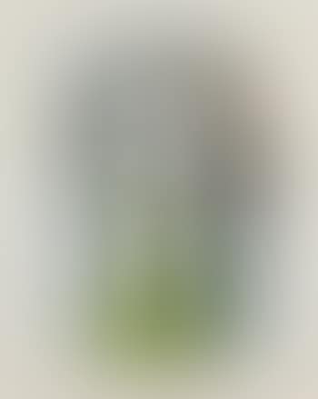 Femme a la robe vert (preview)