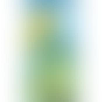 Sunflower (preview)