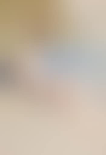The bather (preview)