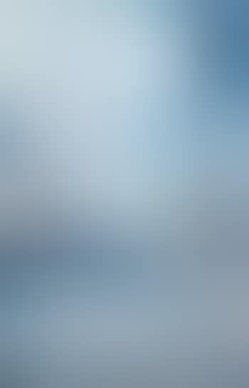 Muro vi (preview)