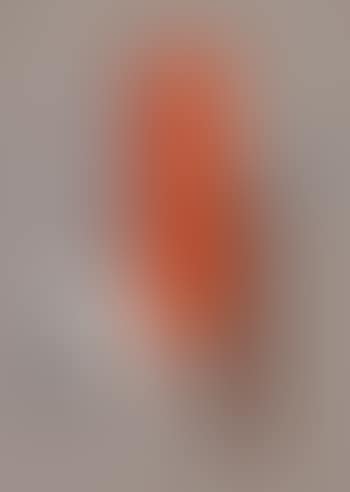 Mit senkrechtem roten Balken (preview)