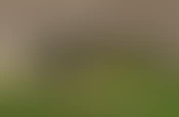 Wolkenschatten (preview)