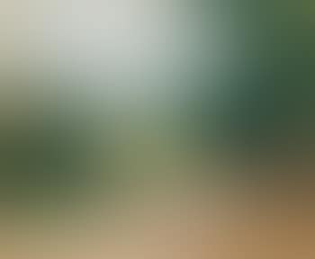 Landscape in the Thuringian Forest (preview)
