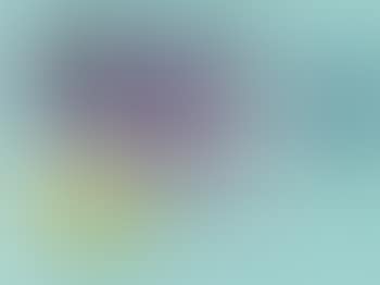 Fenster VI (preview)