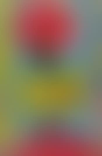 Untitled (preview)