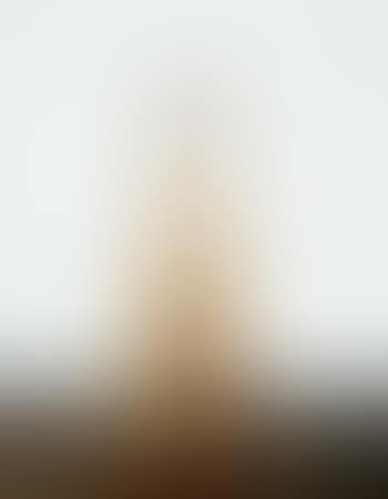 Bird on a Column (preview)