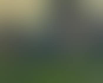 Waldlandschaft (preview)