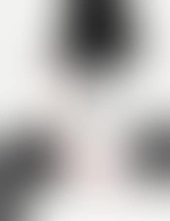 Der Schieber (preview)