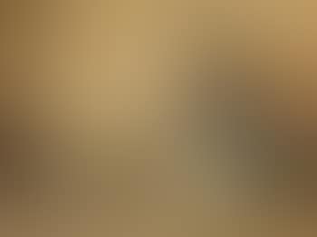 They went into their counry of Benoye, and lived there in great joy (preview)