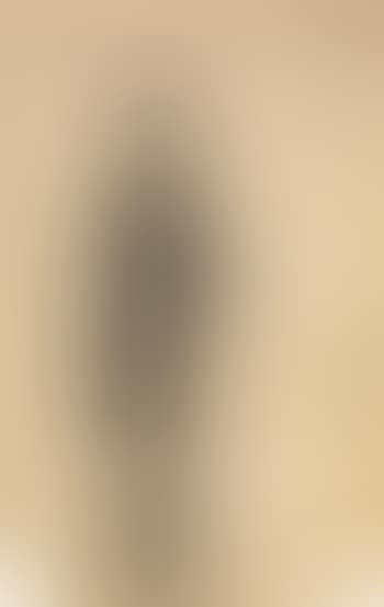 Figure (preview)