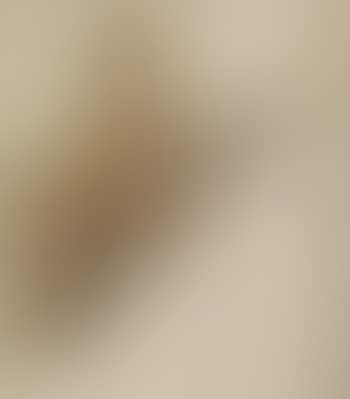 World War I soldier (preview)