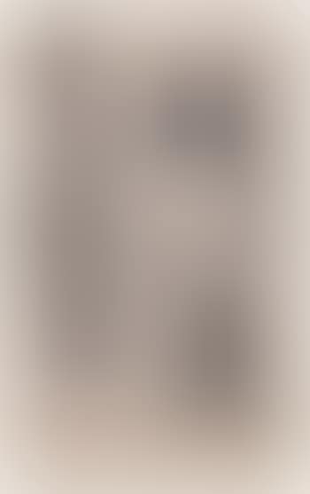 Untitled (preview)