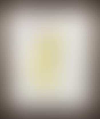 Divine erato, L'Art d'Almer (preview)