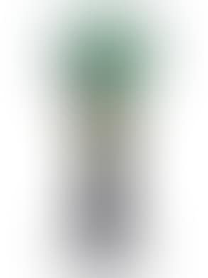 A 'Prunellier' vase (preview)