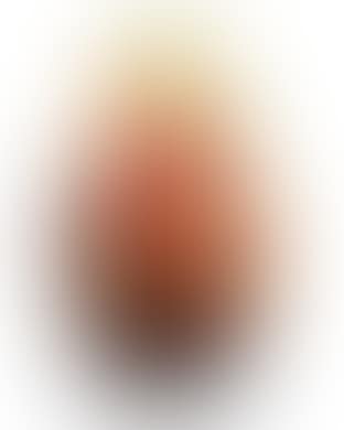 A vase decorated with cyclamen (preview)