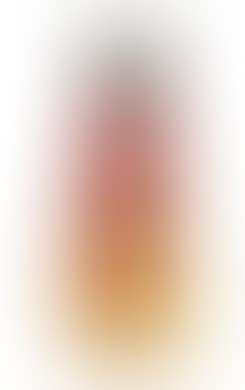 A large vase decorated with magnolia (preview)