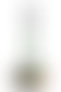A solifleur (preview)