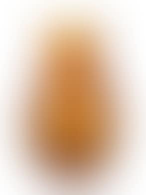 A 'Canards' vase (preview)
