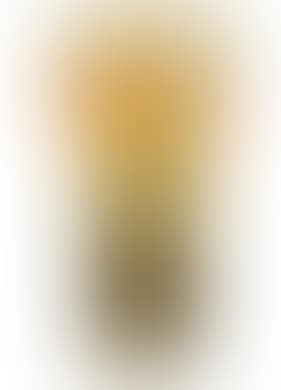 A vase decorated with anemones (preview)